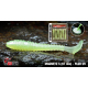 BLISTR 6 pcs - FLUO UV - UV + GLOW +0.00 €
