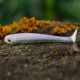 GHOST NATUR