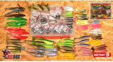 All fish set
