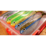 Pike set BIG BAIT with discount