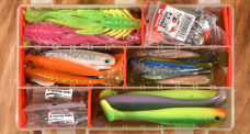 Pike and zander set