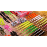 Discounted set RedBass "Zander VERTICAL"