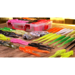 Discounted set RedBass "Zander VERTICAL"