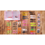 Perch set 2021 with discount 15%