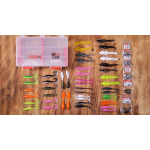 Perch set 2021 with discount 15%