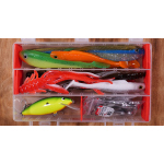 Discounted set catfish
