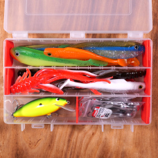 Discounted set catfish