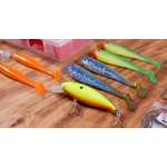 Discounted set catfish