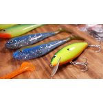 Discounted set catfish