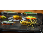 Discounted perch lure set