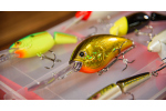 Discounted catfish lure set 2025