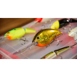 Discounted catfish lure set
