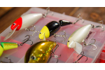 Discounted catfish lure set 2025
