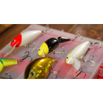 Discounted catfish lure set