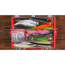 Large discounted pike set