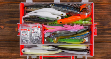 Large discounted pike set