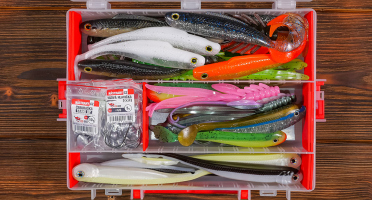 Large discounted pike set 2025