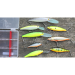 Discounted set zander 2023