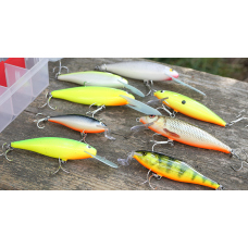 Discounted set zander 2023