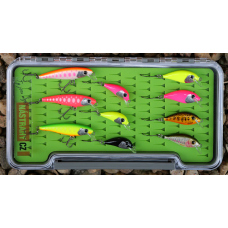 Discounted set rainbow trout 2024