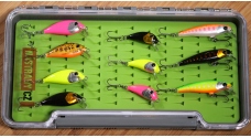 Discounted set rainbow trout 2023