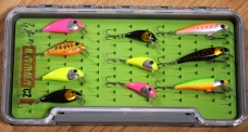 Discounted set rainbow trout 2023