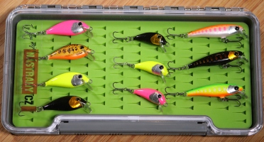 Discounted set rainbow trout 2023