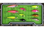 Discounted set rainbow trout 2024