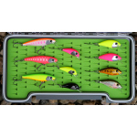 Discounted set rainbow trout 2024