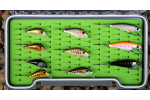 Discounted set brown trout 2024 BL