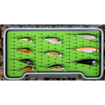 Discounted set brown trout 2024 BL