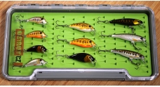 Discounted set brown trout 2023