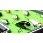 Discounted set brown trout 2024 BL