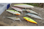 Discounted set pike 2023
