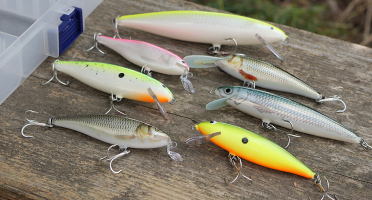 Discounted set pike 2023