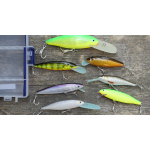 Discounted set catfish 2023