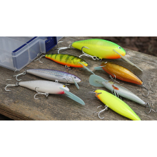 Discounted set catfish 2023
