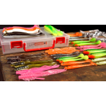Discounted set zander EBRO