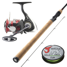 Discounted Pike Set DAIWA "ECONOMY" 