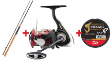 Discounted Catfish Set DAIWA "ECONOMY" 2025