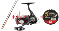 Discounted Catfish Set DAIWA "ECONOMY" 2025
