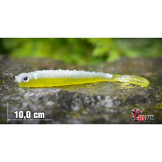 Minnow BLS