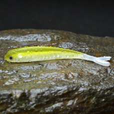 Minnow SSR 4 - 85 mm