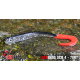 SCB 4 - 78RT