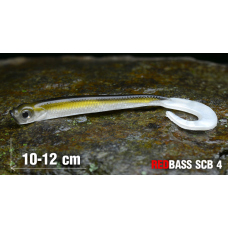 Minnow SCB 4