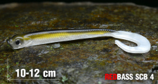 Minnow SCB 4