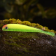 BIG ONE - FLUO/GREEN RH - UV COLOR