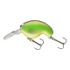 Special Chartreuse