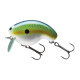 Blue Perch