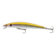 Golden Shiner